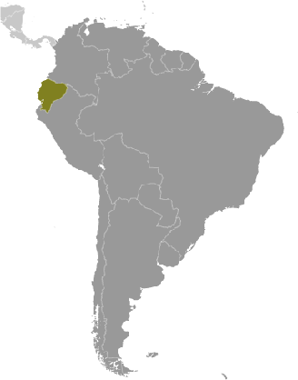 Ecuador Lage Südamerika