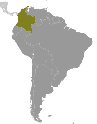 Kolumbien Lage Südamerika