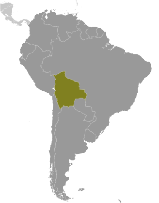 Bolivien Lage Südamerika