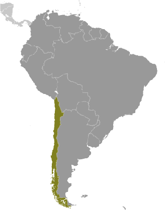 Chile Lage Südamerika