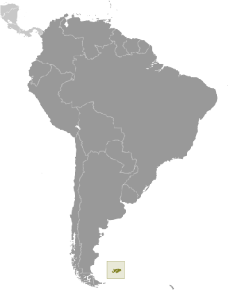 Falklandinseln Lage Südamerika