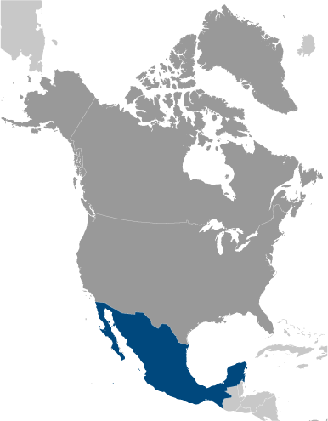 Mexiko Lage