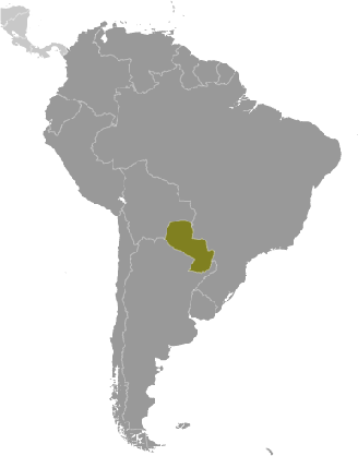 Paraguay Lage Südamerika