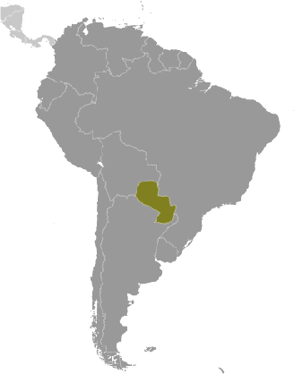 Paraguay Karte : Karte von Paraguay vektor abbildung. Illustration von ... / Und alle karten paraguay druckbar.