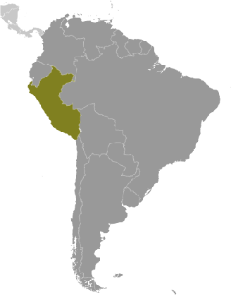 Peru Lage Südamerika