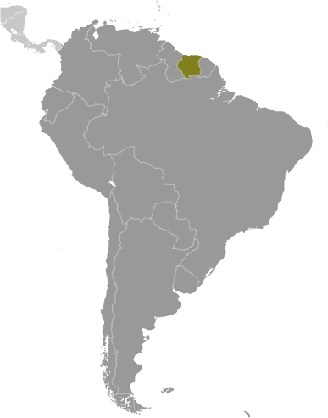 Suriname Lage Südamerika